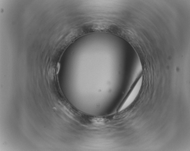 X0000088720227200706141621