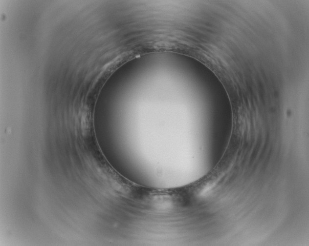 X0000088720228200706141621