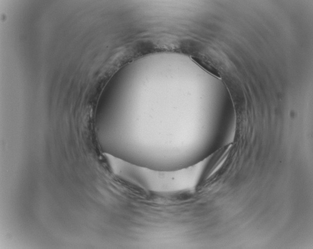 X0000088720229200706141621