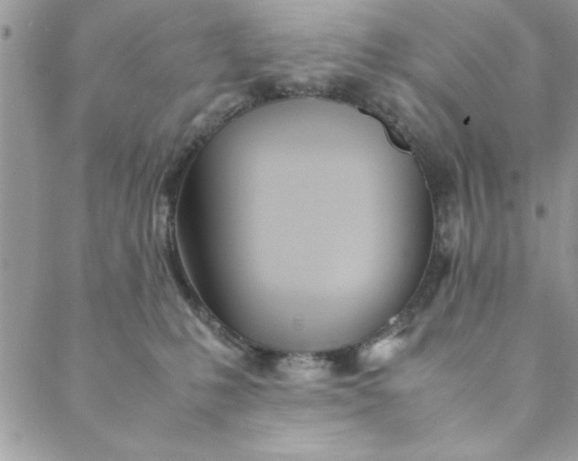 X0000088720231200706141621