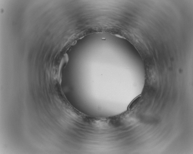 X0000088720232200706141621