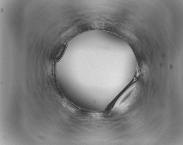 X0000088720233200706141621