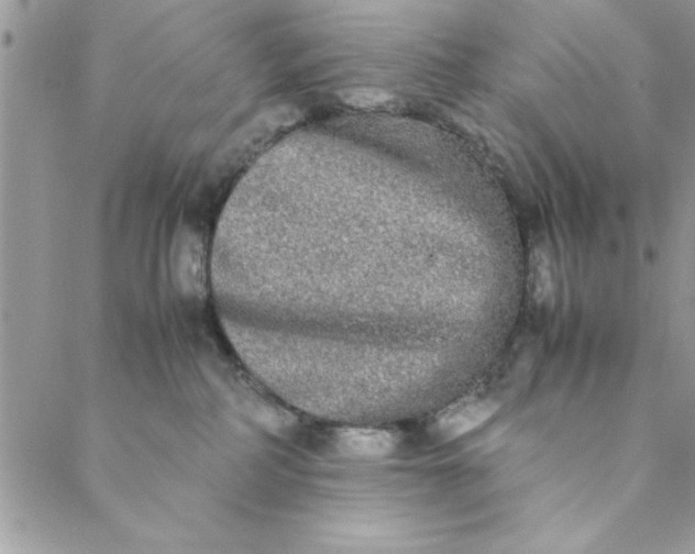 X0000088720234200706141621