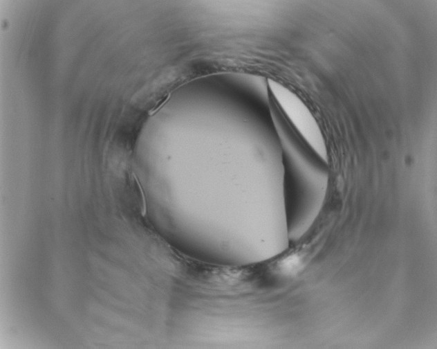 X0000088720235200706141621