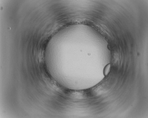 X0000088720236200706141621