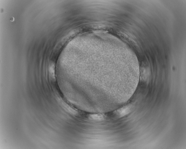 X0000088720238200706141621