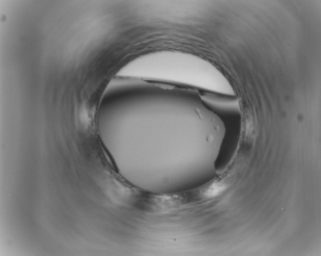 X0000088720239200706141621