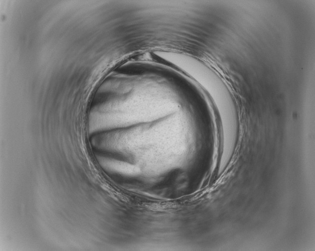 X0000088720241200706141620