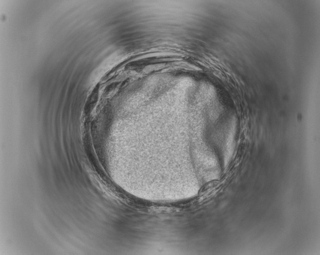 X0000088720242200706141620