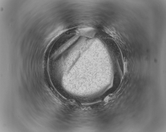 X0000088720243200706141620