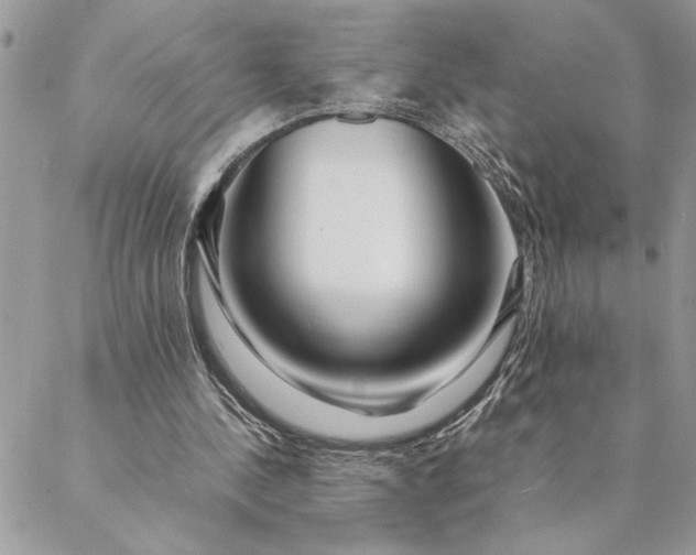 X0000088720244200706141620