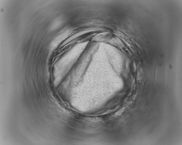 X0000088720245200706141620