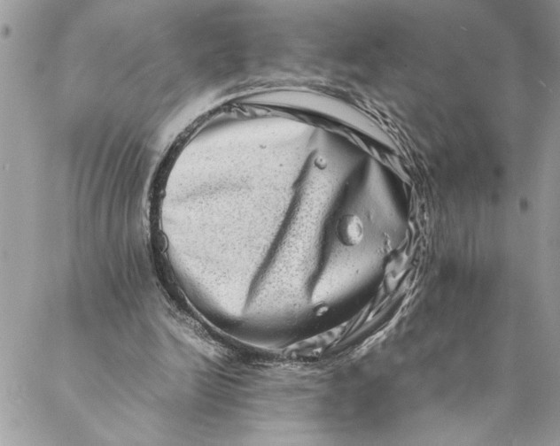 X0000088720246200706141620