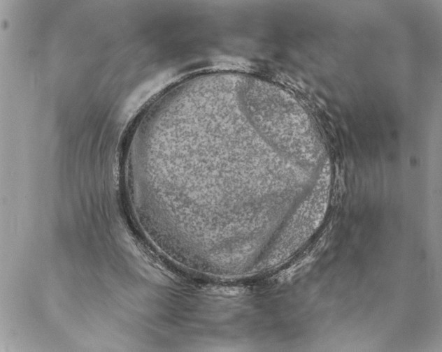 X0000088720247200706141620