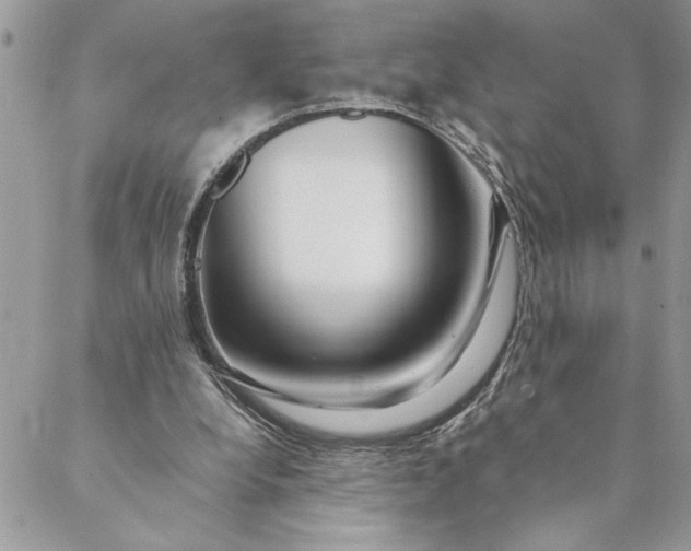 X0000088720248200706141620