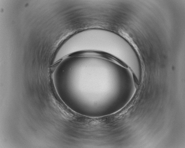 X0000088720249200706141620