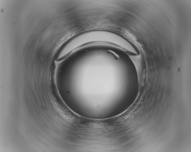 X0000088720250200706141620