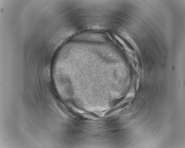 X0000088720251200706141620