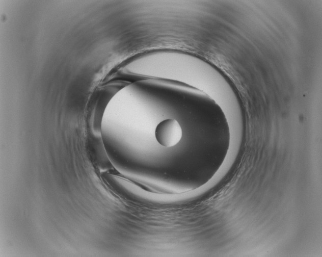 X0000088720252200706141620