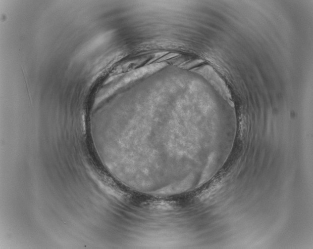 X0000088720254200706141620