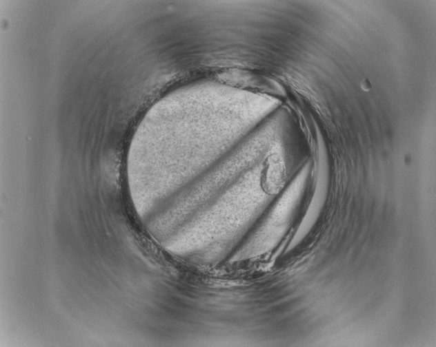 X0000088720255200706141620