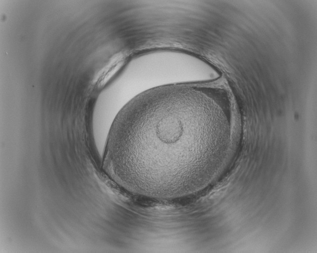 X0000088720256200706141620