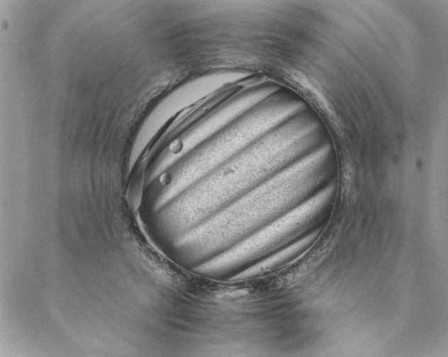 X0000088720257200706141620