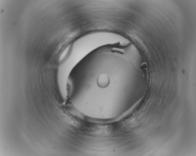 X0000088720260200706141620