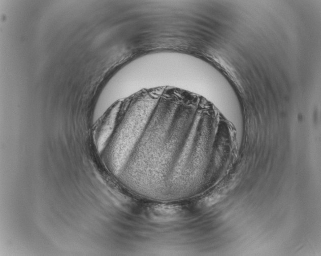 X0000088720261200706141620