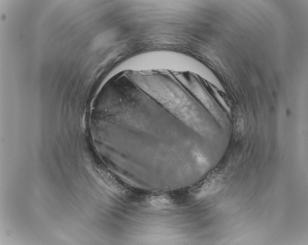 X0000088720262200706141620