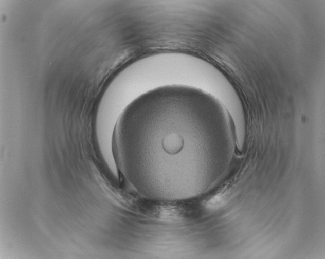 X0000088720264200706141620