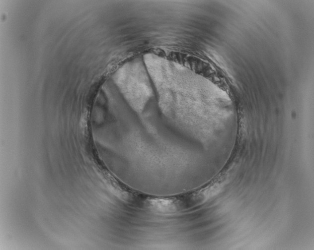 X0000088720265200706141620