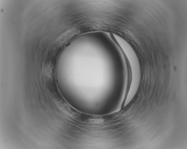 X0000088720266200706141620