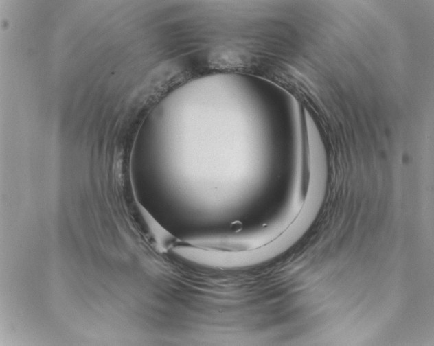 X0000088720267200706141620