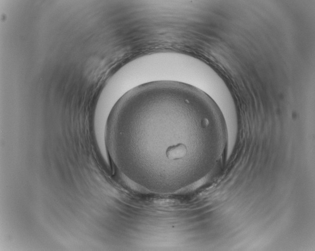 X0000088720268200706141620