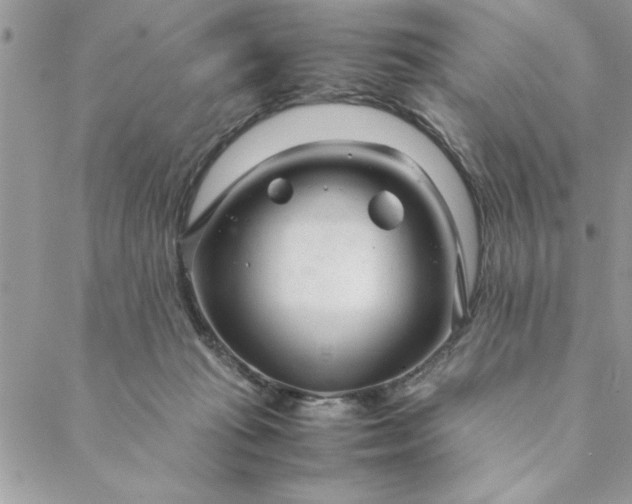 X0000088720269200706141620