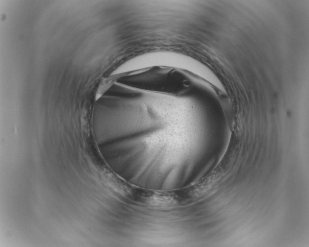 X0000088720270200706141620