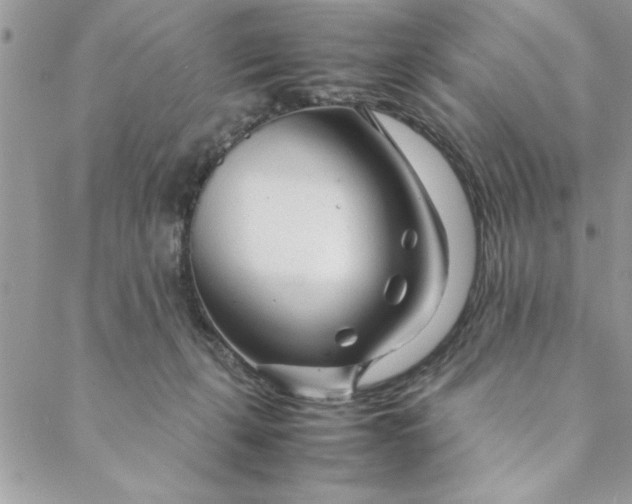 X0000088720271200706141620