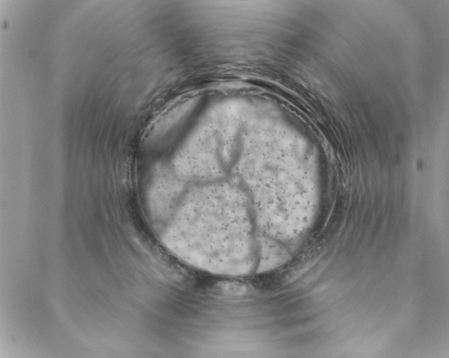 X0000088720272200706141620