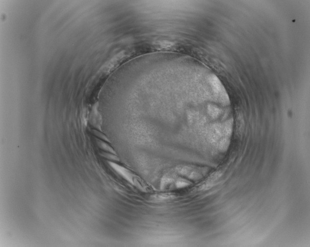 X0000088720274200706141620