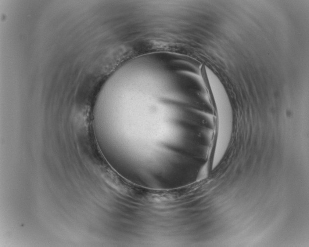 X0000088720275200706141621