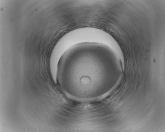 X0000088720276200706141621