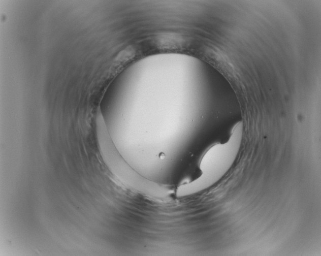 X0000088720277200706141621