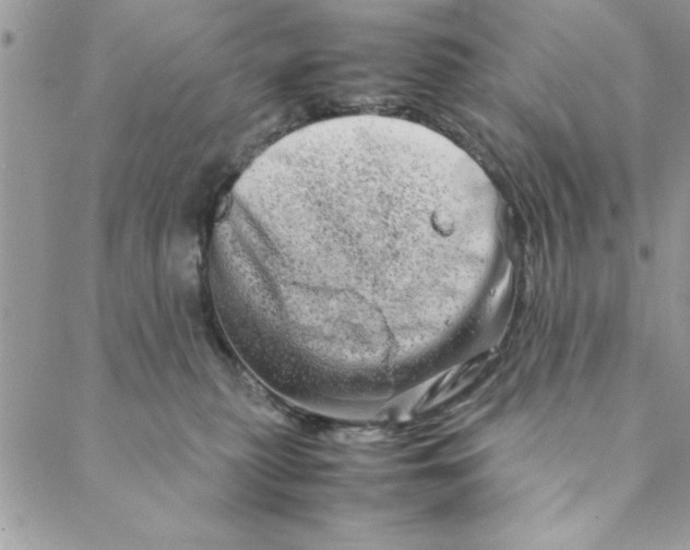 X0000088720279200706141621