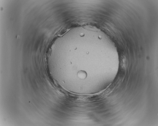 X0000088720280200706141621