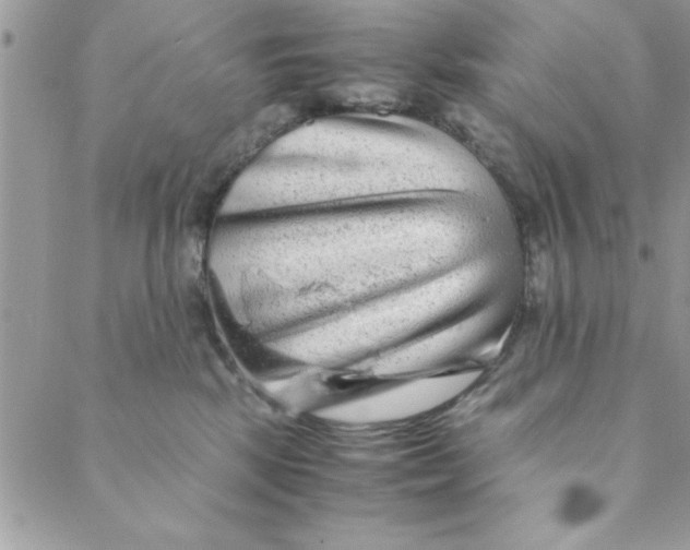 X0000088720281200706141621