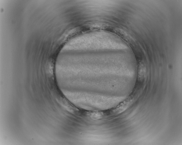 X0000088720282200706141621