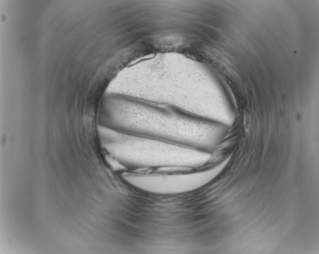 X0000088720283200706141621