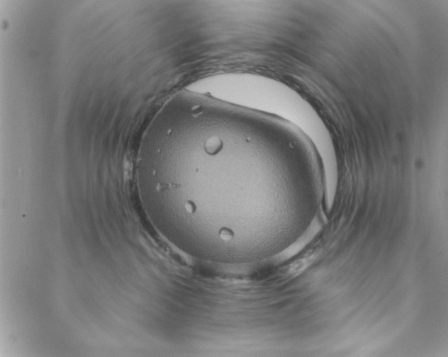 X0000088720284200706141621