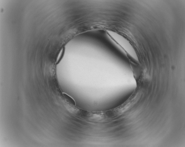 X0000088720285200706141621